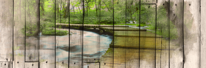 Bild The River of Memories