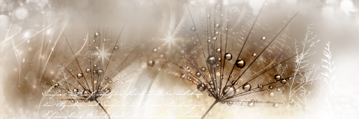 Bild Drops of Dew (1 Part) Brown Narrow