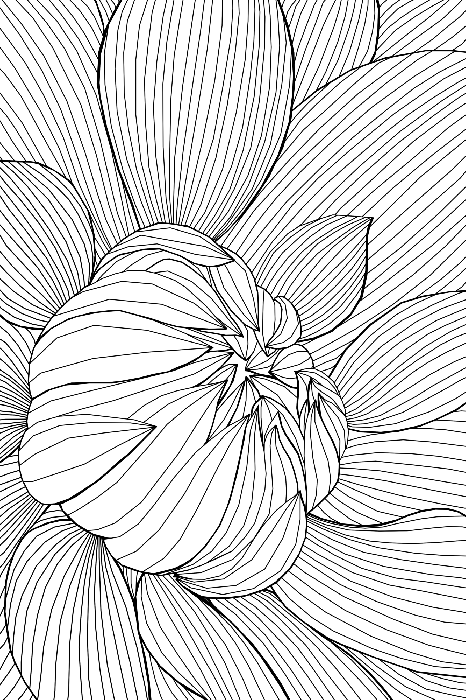 Bild Flower Line (1 Part) Vertical