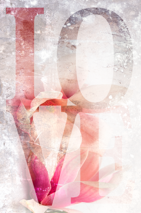 Bild Magnolia Love (1 Part) Vertical