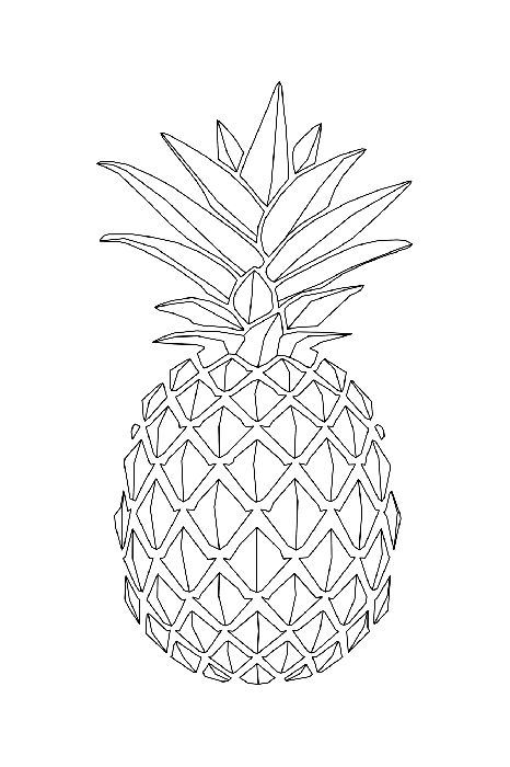 Bild Fruity Sketch (1 Part) Vertical