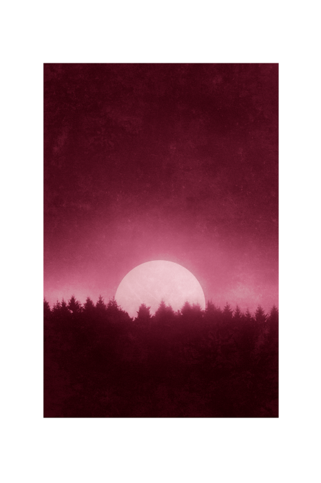 Bild Full Moon (1 Part) Vertical