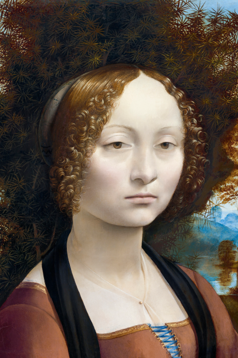 Bild Ginevras geheimnisvoller Blick in einer Naturlandschaft