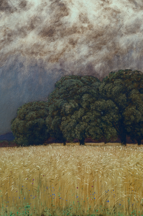 Bild Goldene Getreidefelder unter einem dunklen, stürmischen Himmel