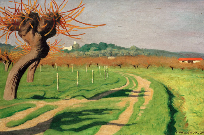 Bild Ein zauberhafter Blick auf das Cagne-Tal im sanften Licht der Sonne