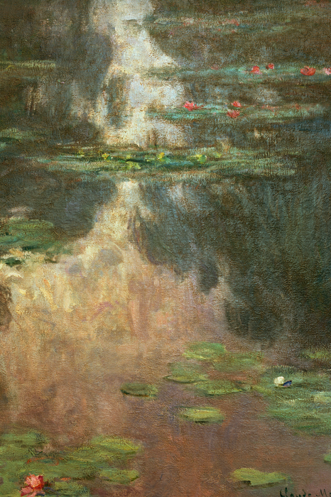 Bild Sonnenstrahlen tanzen auf der Oberfläche des mit Seerosen bedeckten Wassers