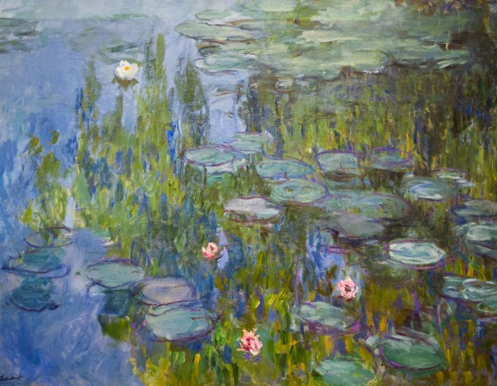 Bild Ein wunderschöner Teich, bedeckt mit üppiger Seerosenvegetation