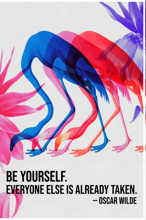 Bild Colorful Flamingos - Inspirational Quote with Colorful Bird Silhouettes