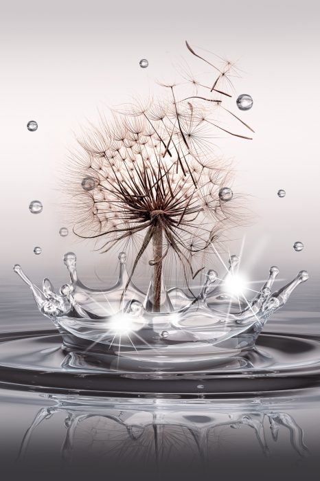 Bild Wind Drops (1 Part) Vertical