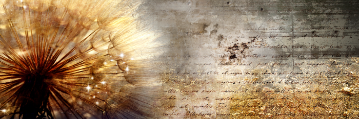 Bild Golden Dandelion