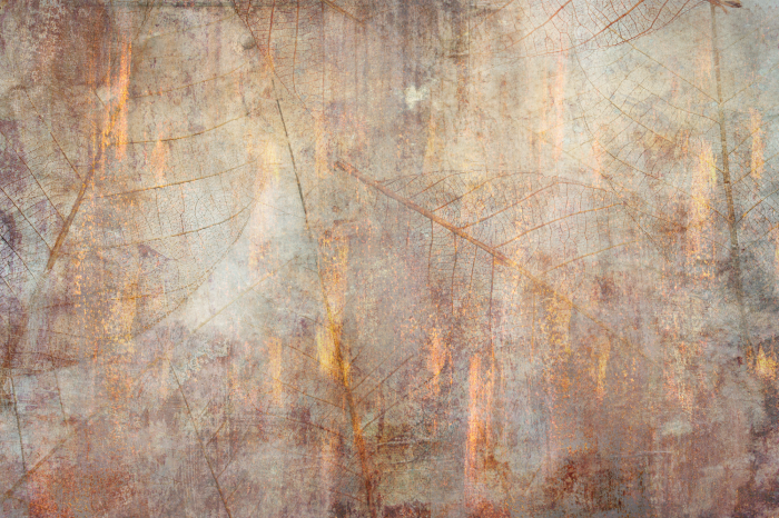 Bild Dance Of the Senses (1 Part) Wide