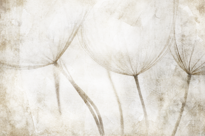 Bild Peaceful Tale (1 Part) Wide