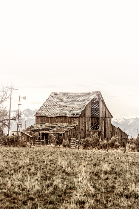 Bild Abandoned Ranch (1 Part) Vertical