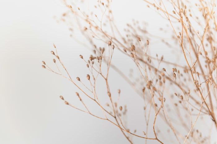 Bild Minimalist Twig (1 Part) Wide