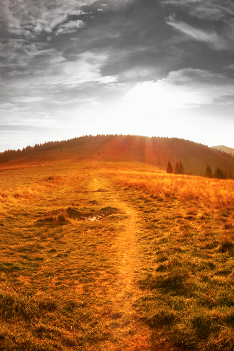 Bild Idyll (1 Part) Vertical