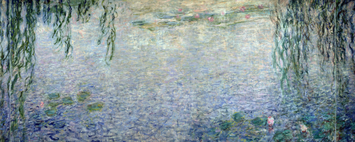 Bild Zarte Spiegelungen von Seerosen in Trauerweiden