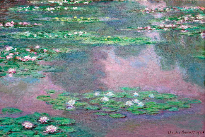 Bild Seerosen auf der ruhigen Oberfläche eines Teichs