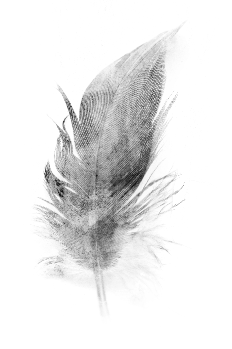 Bild Transience (1 Part) Vertical