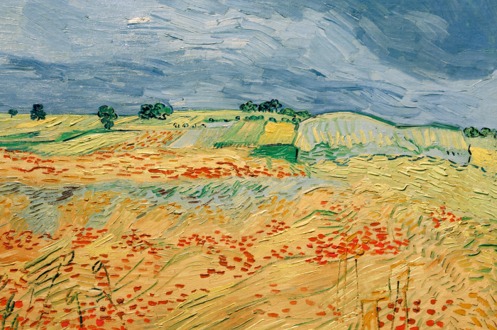 Bild Malerische Felder in intensiven Farben