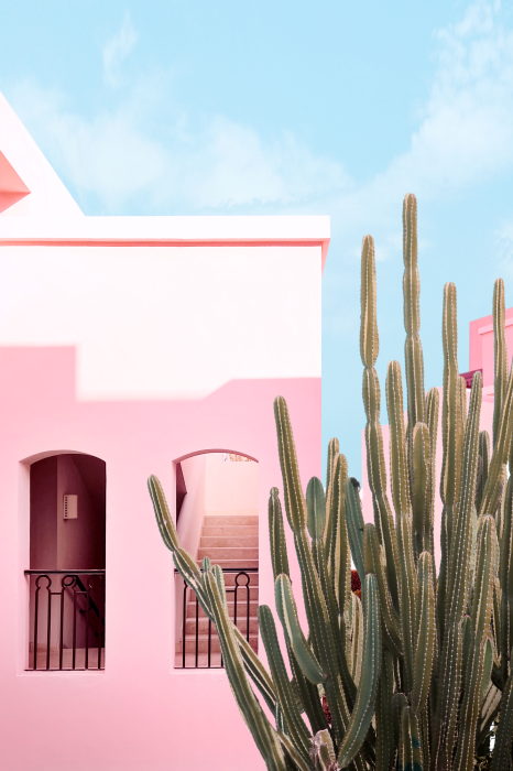 Bild Ein rosa Haus und ein Kaktus vor blauem Himmel