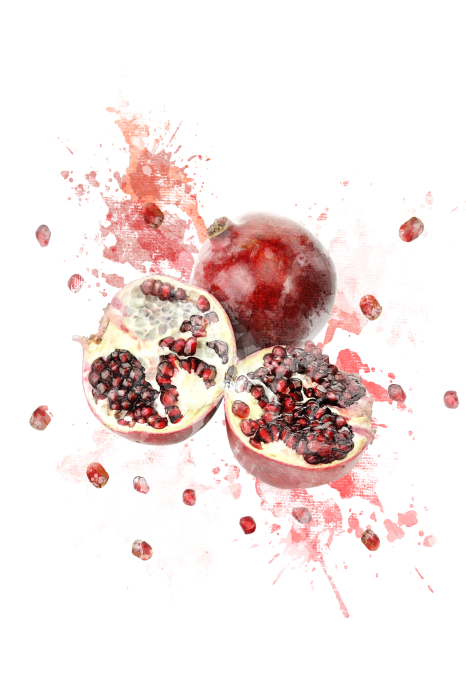 Bild Mit Wasserfarben gemalte Granatäpfel