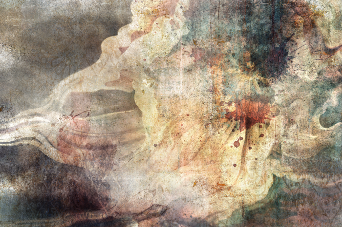 Bild Wild Dance in the Fog (1 Part) Wide