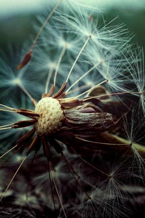 Bild Last Hope (1 Part) Vertical