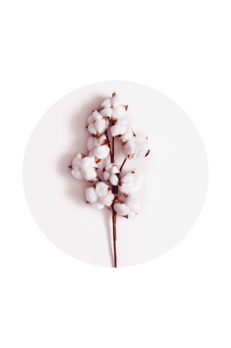 Bild Soft Cotton (1 Part) Vertical