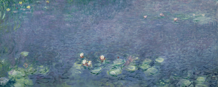 Bild Zarte Seerosen in der natürlichen Umgebung des Flusses