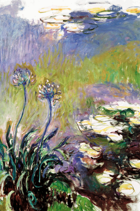 Bild Eine Wiese voller Blumen und Seerosen am Teich