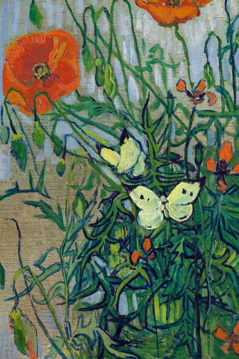 Bild Landschaft einer Wiese mit Mohnblumen und schwebenden Schmetterlingen