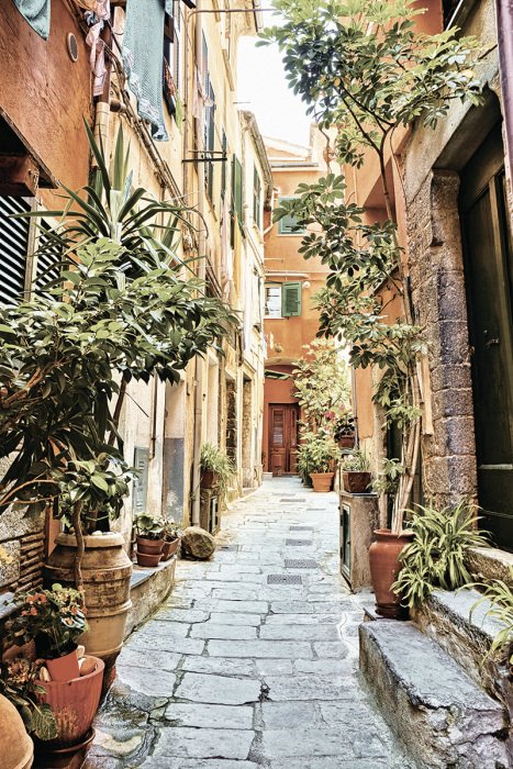 Bild Eine Straße mit Mietshäusern und üppiger Vegetation
