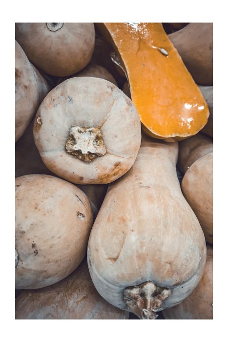Poster Reife Butternusskürbisse mit intensiver Farbe