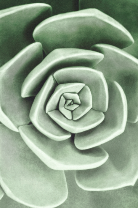 Poster Grüne Blume in einer Makro-Spiralaufnahme