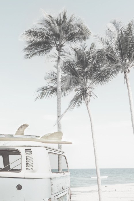 Poster Sommerlandschaft mit einem Wohnmobil und Palmen