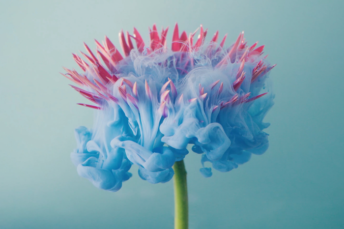 Poster Aquarellblumen-Farbexplosion