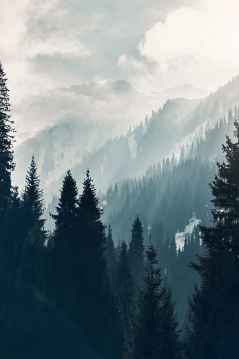 Poster Bergbäume mit milchigen Wolken