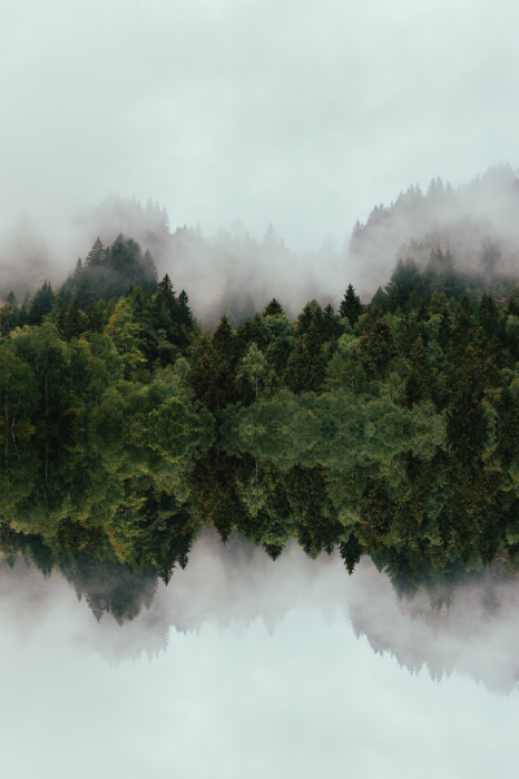 Poster Die Symmetrie der Natur in Bäumen und Wolken