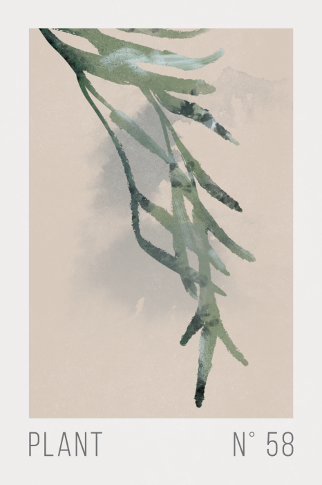 Poster Minimalistische Pflanzenillustration in Pastellfarben