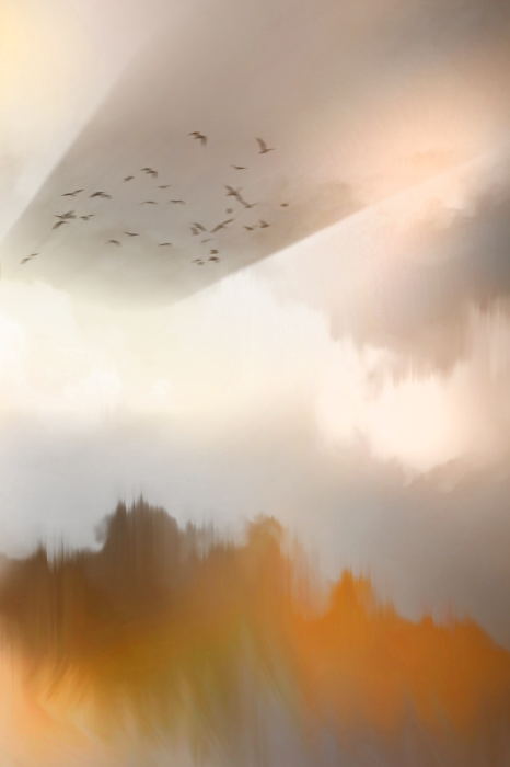 Poster Eindruck von goldenem Nebel über dem Wald