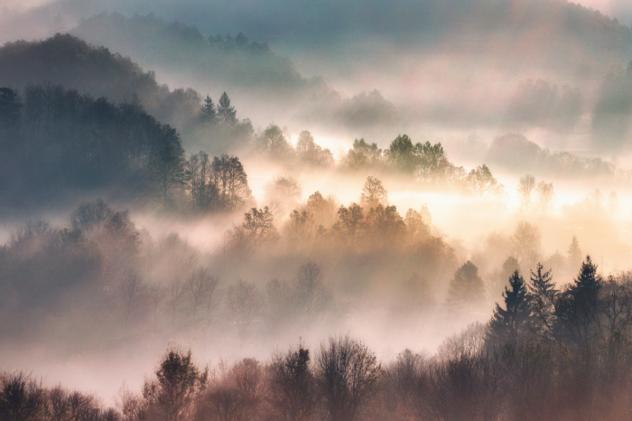 Poster Bäume einer Berglandschaft im Nebel