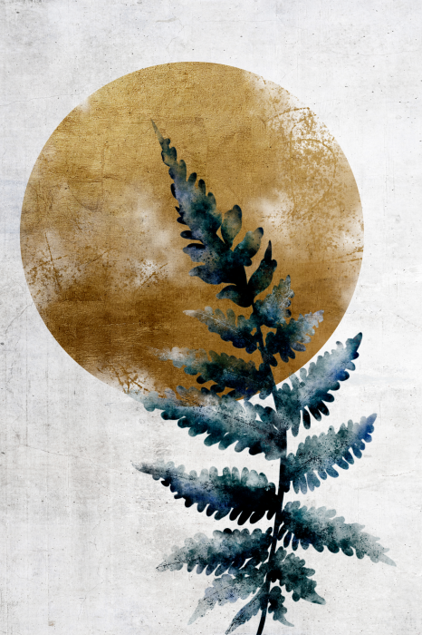 Poster Ein zarter Farn im Sonnenlicht