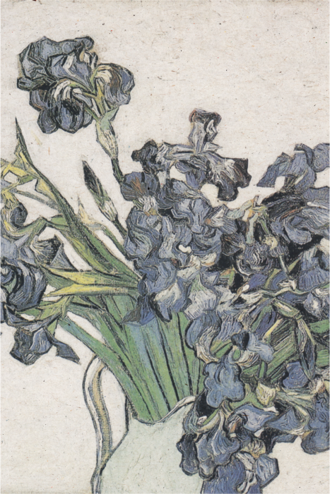 Poster Ein zartes botanisches Gemälde mit Schwertlilien