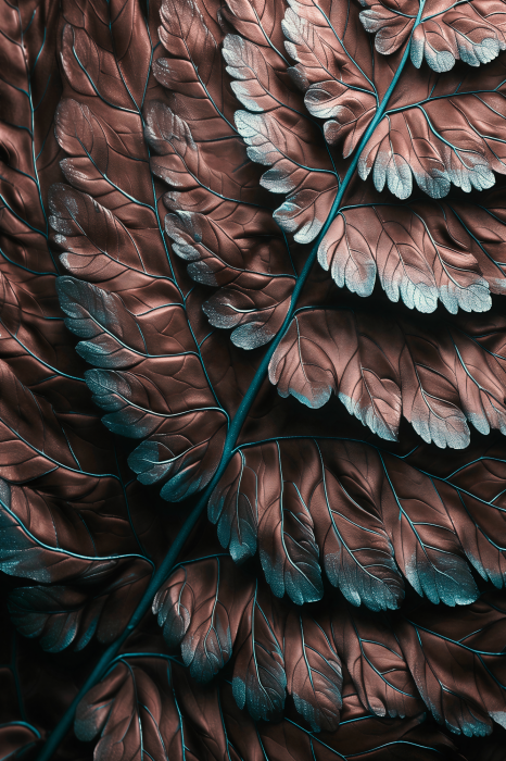 Poster Strukturiertes Kupferfarnblatt