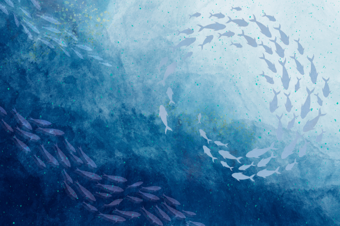 Poster Fischschwärme in den blauen Tiefen