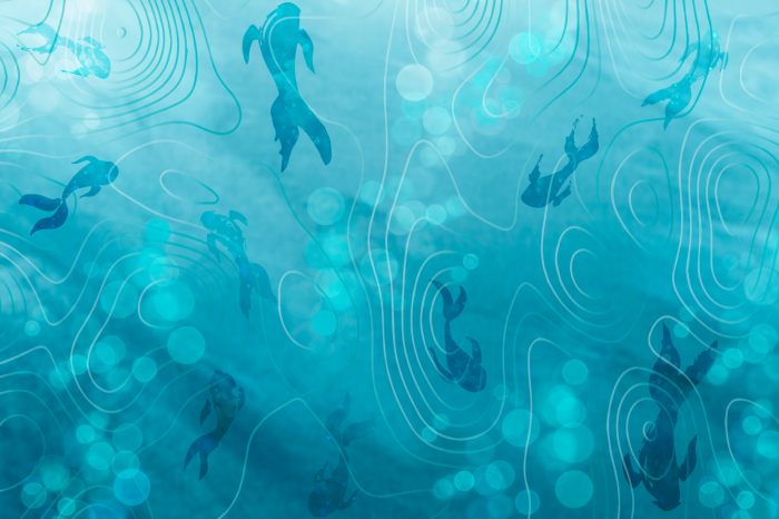 Poster Schwimmende Fische auf einem Wassermuster mit Schnüren