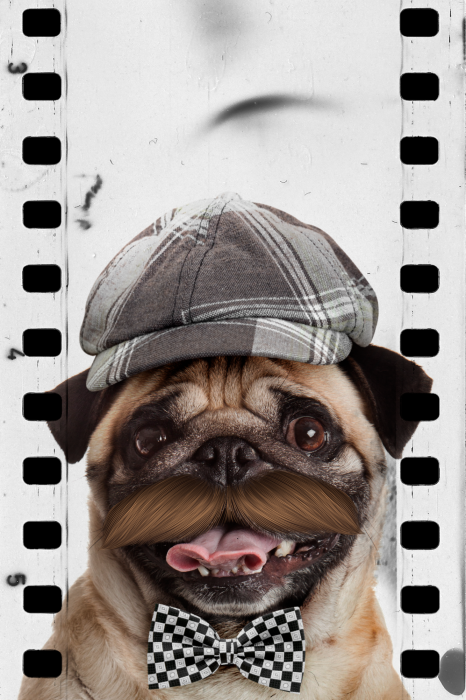 Poster Ein stilisiertes Porträt eines Mopses mit Retro-Accessoires.