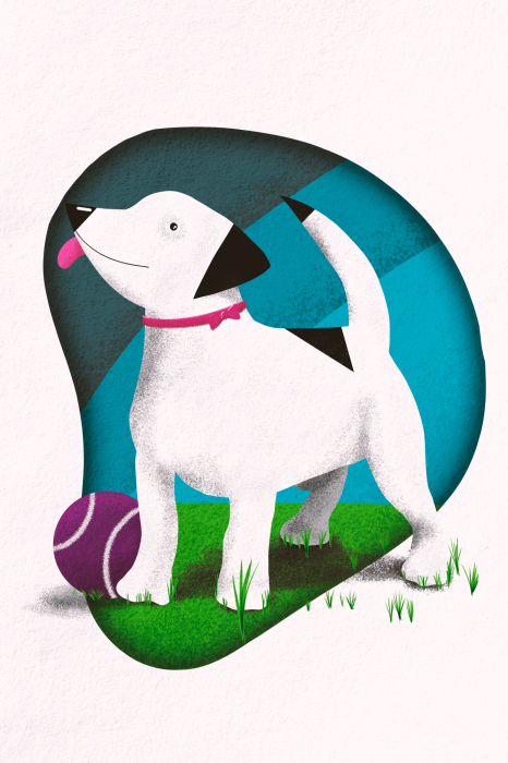 Poster Illustration eines Hundes mit einem lila Ball
