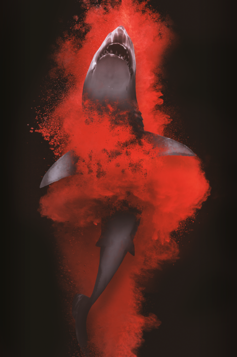 Poster Abstrakter Hai in Rot