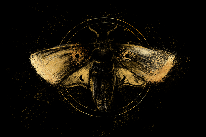 Poster Ein goldener Falter in dunkler Komposition